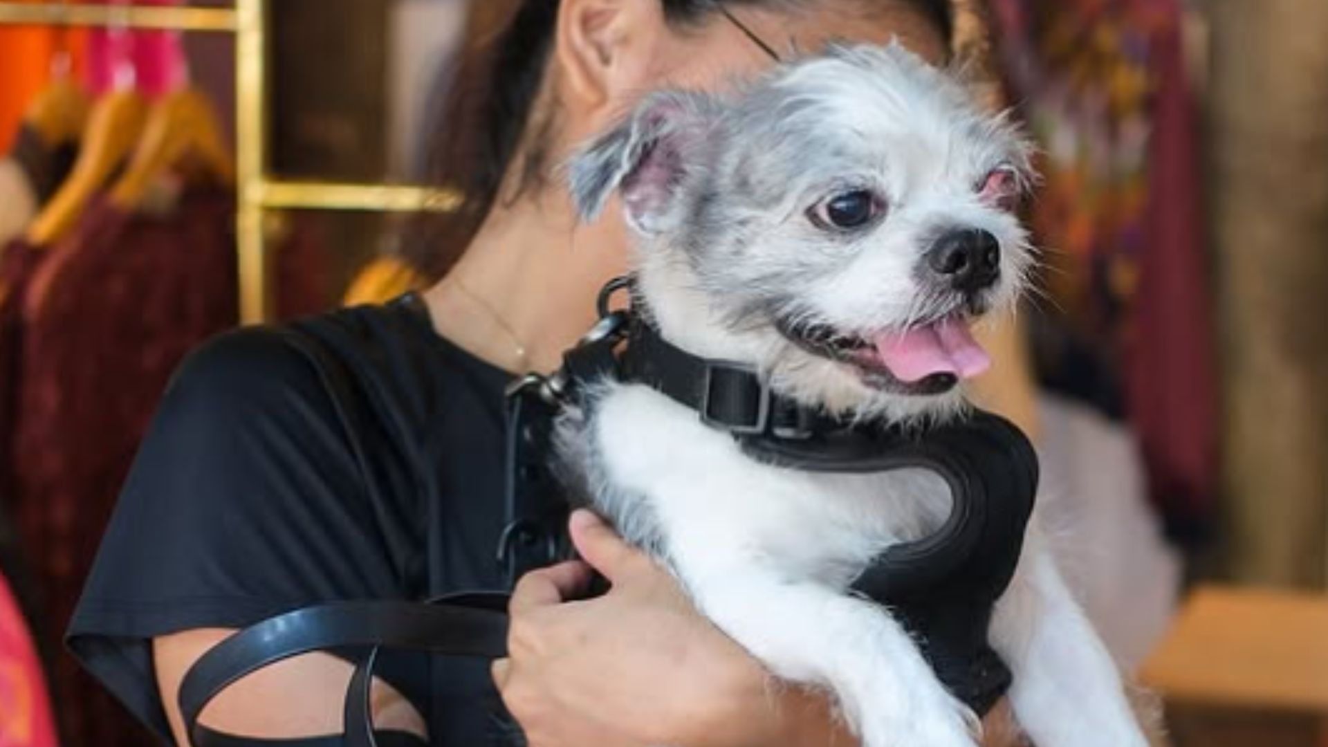 Pet-friendly Sulok Coffee